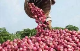 Inflation rate, wholesale Inflation rate, October Inflation rate, India Inflation rate, Inflation rate news, Inflation rate latest news