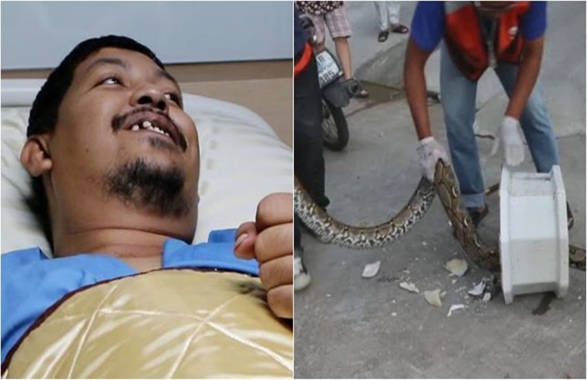 python bites man in toilet, snake bites thai man, viral video, thailand man bit by python, thailand news, python bites penis