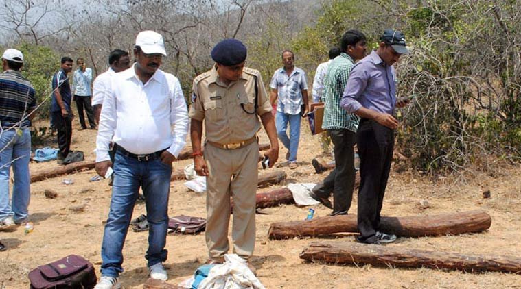red sanders smuggling, air hostess smuggling case, smuggling air hostess, red saanders smugglers, chittoor smugglers, chittoor, markondan lakshman, lakshman dange, tamang smuggler, red sanders smuggler, Sangeeta Chatterjee, red sanders smuggling case latest, india news