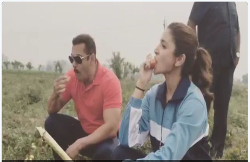 anushka sharma, anushka sharma movies, sultan, salman khan, diljit dosanjh, phillauri, anushka sharma sultan, anushka sharma phillauri, anushka sharma salman khan, anushka sharma diljit dosanjh, anushka sharma news, anushka sharma latest news, entertainment news