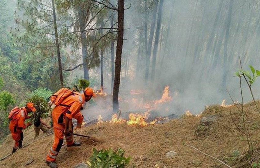 uttarakhand forest fire, forest fires, uttarakhand rain, uttarakhand forest, uttarakhand, death toll forest fire, uttarakhand fire death toll