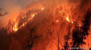congress critize bjp, pm narendra modi, Uttarakhand, Uttarakhand forest fires, Uttarakhand news, Uttarakhand forest fire news, Mi17 helicopters