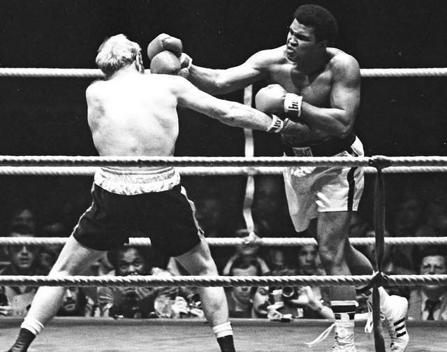 Muhammad ALi, boxing, boxing muhammad ali, boxer Muhammad Ali, Muhammad Ali news, Muhammad Ali sports, Muhammad Ali die, Muhammad Ali death, Muhammad Ali fight, Muhammad Ali boxer, Muhammad Ali boxing, Muhammad Ali records, Muhammad Ali career, Muhammad Ali health, muhammad ali knockouts, muhammad ali best knockouts, Muhammad Ali news, muhammad ali rare pics, muhammad ali photos, muhammad ali pics, Boxing legend , Boxing legend Muhammad ALi, Ali death, Muhammad Ali pictures