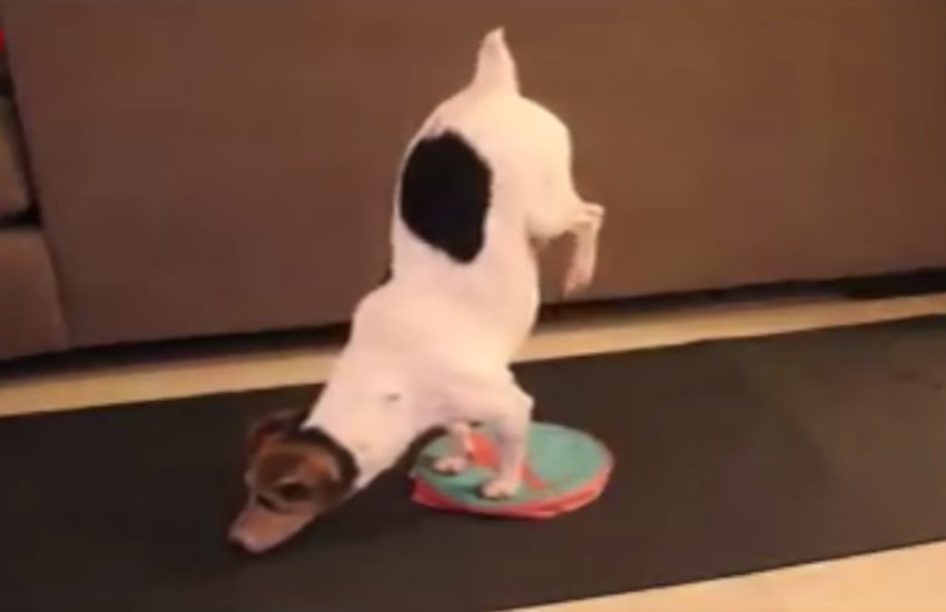 (Photo Source: Youtube)