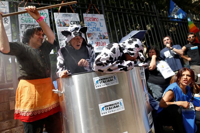 china news, dog festival, dog festival China, news, animal rights,China, China dog festival, animal cruelty, dog eating festival, eating dog, dogs, dog, China dog met festival, world news, international news,Yulin festival, latest news, Yulin festival china, Yulin dog festival, yuling dog meat festival china