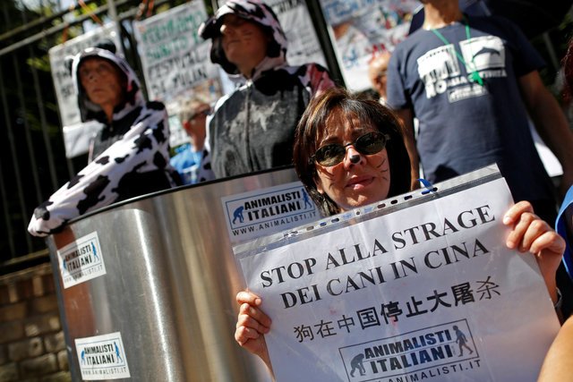 china news, dog festival, dog festival China, news, animal rights,China, China dog festival, animal cruelty, dog eating festival, eating dog, dogs, dog, China dog met festival, world news, international news,Yulin festival, latest news, Yulin festival china, Yulin dog festival, yuling dog meat festival china