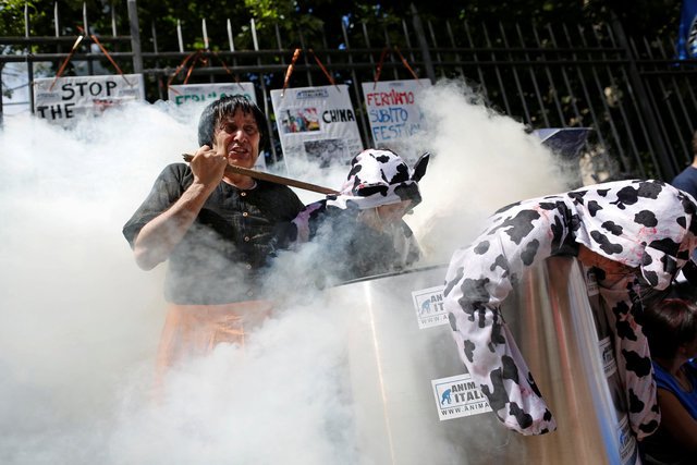 china news, dog festival, dog festival China, news, animal rights,China, China dog festival, animal cruelty, dog eating festival, eating dog, dogs, dog, China dog met festival, world news, international news,Yulin festival, latest news, Yulin festival china, Yulin dog festival, yuling dog meat festival china