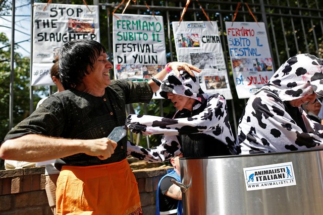 china news, dog festival, dog festival China, news, animal rights,China, China dog festival, animal cruelty, dog eating festival, eating dog, dogs, dog, China dog met festival, world news, international news,Yulin festival, latest news, Yulin festival china, Yulin dog festival, yuling dog meat festival china