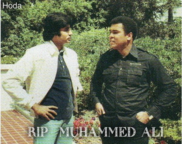Muhammad ALi, boxing, boxing muhammad ali, Muhammad ALi greatest match, boxer Muhammad Ali, Muhammad Ali news, Muhammad Ali sports, Muhammad Ali die, Muhammad Ali death, Muhammad Ali fight, Muhammad Ali boxer, Muhammad Ali boxing, Muhammad Ali records, Muhammad Ali career, Muhammad Ali health, muhammad ali knockouts, muhammad ali best knockouts, Muhammad Ali news, muhammad ali rare pics, amitabh bachchan meet muhammad ali, indira gandhi meet muhammad ali, muhammad ali meet md rafi, muhammad ali photos, muhammad ali pics, Boxing legend , Boxing legend Muhammad ALi, Ali death, Muhammad Ali pictures