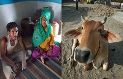 मध्यप्रदेश: जिसे पहले कहते थे ‘विधवाओं का गांव’, अब वह हुआ ‘गौ-तस्करी’ के लिए बदनाम