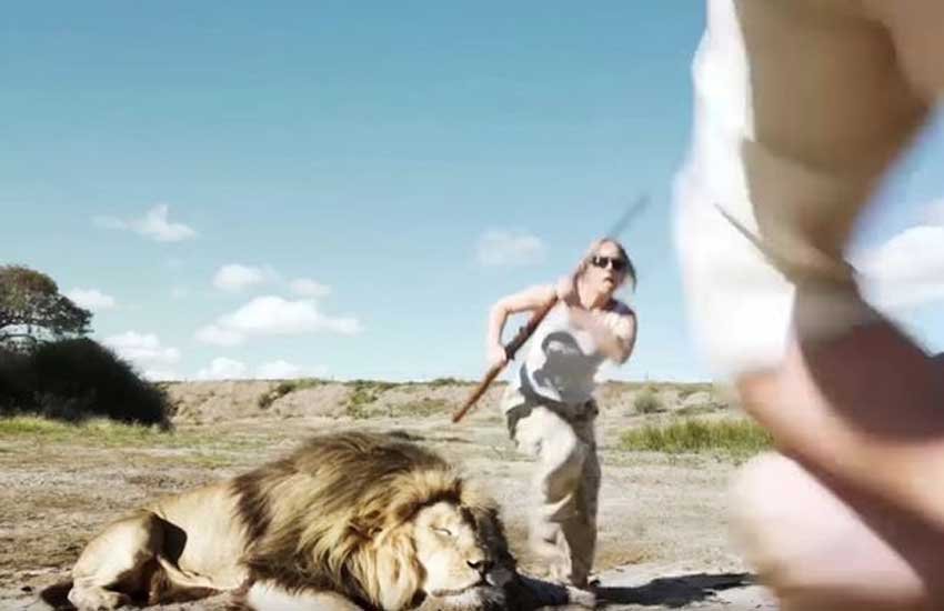 YouTube video, lion, Jayden Taner, #StopTrophyHunting, lion pounds hunters, Lion revenge on hunter, Lion video, south africa video