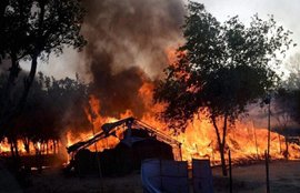 supreme court, cbi probe, mathura violence, mathura riots