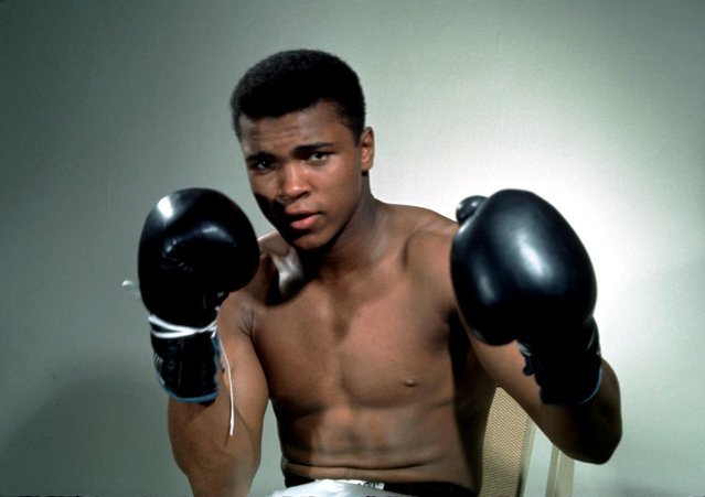 Muhammad ALi, boxing, boxing muhammad ali, boxer Muhammad Ali, Muhammad Ali news, Muhammad Ali sports, Muhammad Ali die, Muhammad Ali death, Muhammad Ali fight, Muhammad Ali boxer, Muhammad Ali boxing, Muhammad Ali records, Muhammad Ali career, Muhammad Ali health, muhammad ali knockouts, muhammad ali best knockouts, Muhammad Ali news, muhammad ali rare pics, muhammad ali photos, muhammad ali pics, Boxing legend , Boxing legend Muhammad ALi, Ali death, Muhammad Ali pictures