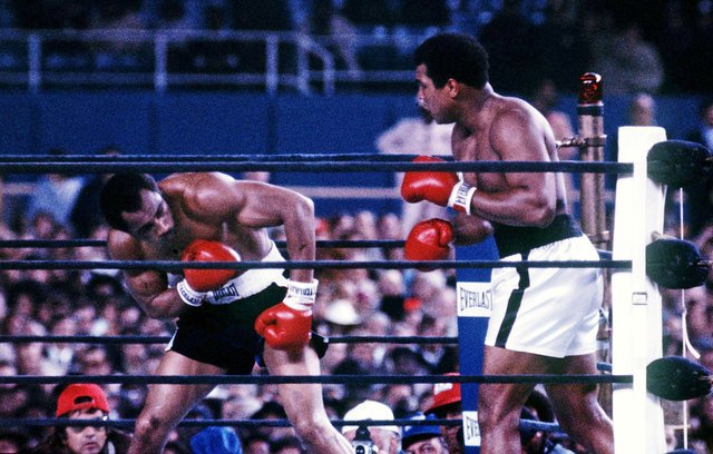 Muhammad ALi, boxing, boxing muhammad ali, boxer Muhammad Ali, Muhammad Ali news, Muhammad Ali sports, Muhammad Ali die, Muhammad Ali death, Muhammad Ali fight, Muhammad Ali boxer, Muhammad Ali boxing, Muhammad Ali records, Muhammad Ali career, Muhammad Ali health, muhammad ali knockouts, muhammad ali best knockouts, Muhammad Ali news, muhammad ali rare pics, muhammad ali photos, muhammad ali pics, Boxing legend , Boxing legend Muhammad ALi, Ali death, Muhammad Ali pictures