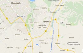Panchkula IFS Officer, Panchkula Latest news, Punjab IFS Officer, IFS Officer Panchkula, Panchkula IFS Officer latest news, Panchkula IFS Officer News