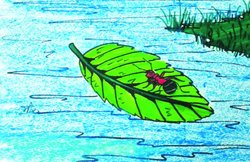 मुरलीधर वैष्णव की कविता : चींटी का उपकार