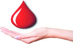 खून में ऑक्सीजन बढ़ाते हैं ये फूड्स, जानिए और क्या हैं फायदे