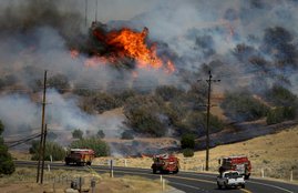 california forest, california forest fire, california forest fire News, california forest fire latest news, california forest fire live