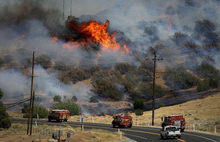california forest, california forest fire, california forest fire News, california forest fire latest news, california forest fire live