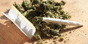 ncb, drugs, delhi, ncr,
