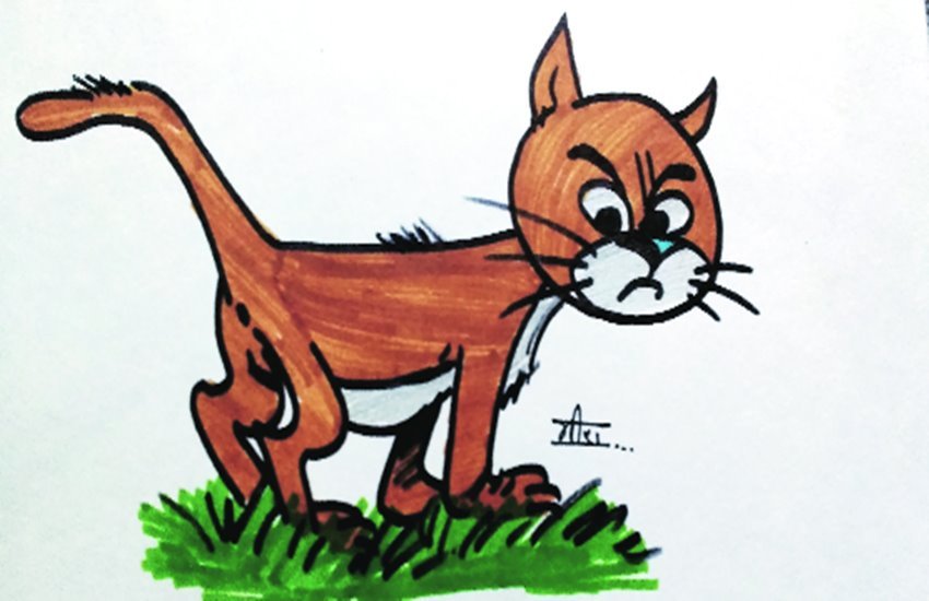 jansatta, editorial, cat, poetry, geet, jansatta, editorial, cat, poetry, geet,