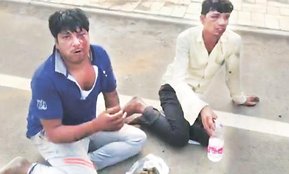 gau rakshaks, cow slaughter ban, beef transporters eat cow dung, bjp government, gaushala, slaughterhouse, beef ban, cow slaughter ban, cow transportation, beef transporters, transportation for slaughter, pratapgarh cow slaughter, gau rakshak dal, india news