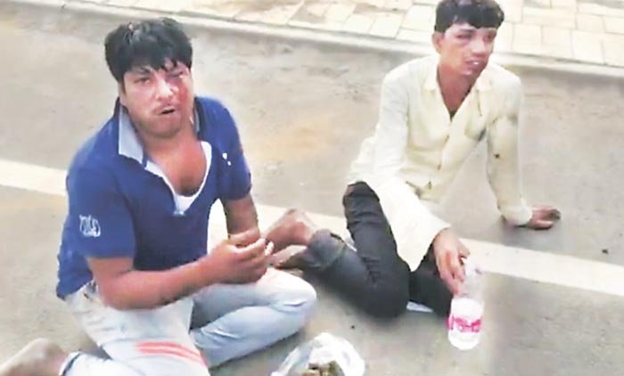 gau rakshaks, cow slaughter ban, beef transporters eat cow dung, bjp government, gaushala, slaughterhouse, beef ban, cow slaughter ban, cow transportation, beef transporters, transportation for slaughter, pratapgarh cow slaughter, gau rakshak dal, india news