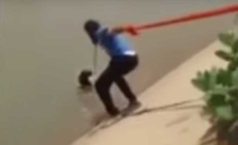 Punjab,Sikh Man,dog,turban,viral,video,YouTube
