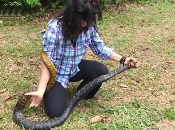 (Photo Source: YouTube)