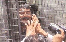 gulberg, gulberg sentencing, gulberg verdict