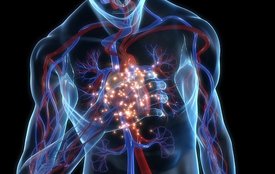 Genetics, Medicine/Health, Cardiology
