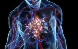 दिल की बिगड़ती सेहत के बारे में 10 साल पहले बता सकता है आपका खून