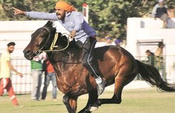 ‘जानकारी’ कॉलम में यशवंत कोठारी का लेख : घोड़ा