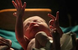 मुर्दाघर में नवजात बच्ची के शव को खाती रहीं चींटियां