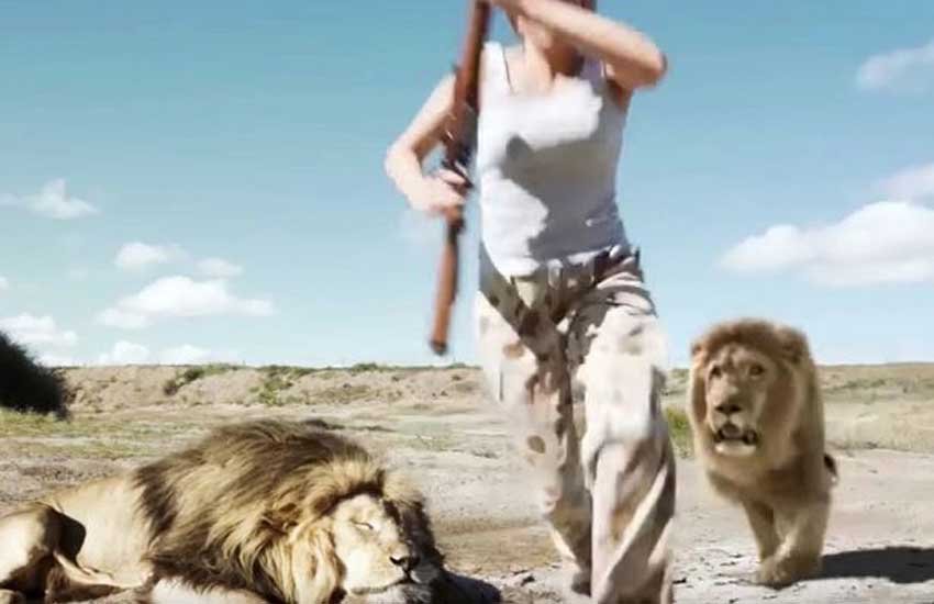 YouTube video, lion, Jayden Taner, #StopTrophyHunting, lion pounds hunters, Lion revenge on hunter, Lion video, south africa video