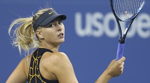 Maria Sharapova,Tennis,Sport, tennis star