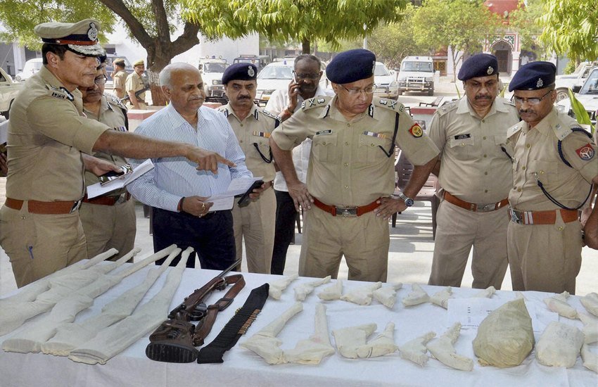 Mathura, Mathura clashes, Mathura violence, Akhilesh Yadav, Violence in Mathura, mathura netaji club, mathura clashes netaji group, Mathura violence politics, Mathura deaths, UP clash, uttar pradesh clash, mathura clash,cult children, satyug, Jawahar Bagh by activists, azad bharat vidhik Vaicharik Kranti Satyagrahi, policeman dead, dead policeman, mathura police dead, uttar pradesh news, india news