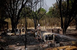 mathura jawahar bagh case, jawahar bagh Mathura, jawahar bagh CBI, Allahabad High Court