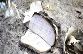 Mathura clashes, Mathura violence, Violence in Mathura, mathura clashes netaji group