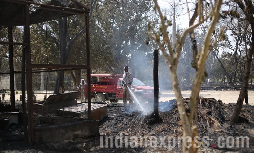 mathura clashes, clashes mathura, mathura protest, mathura news, mathura pictures, mathura clashes pictures, mathura clashes live, mathura live news, mathura clashes news, india news, latest news