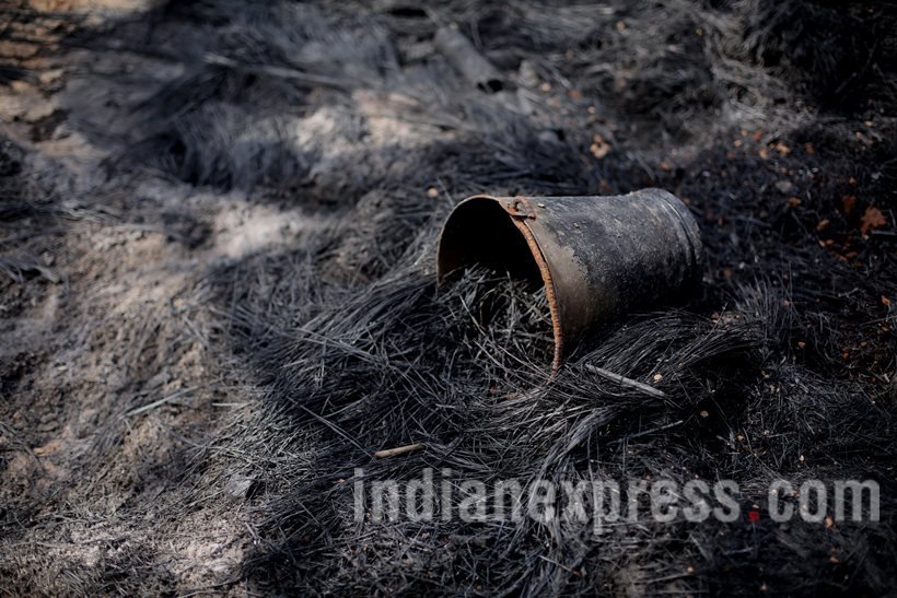 mathura clashes, clashes mathura, mathura protest, mathura news, mathura pictures, mathura clashes pictures, mathura clashes live, mathura live news, mathura clashes news, india news, latest news