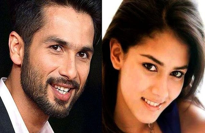 bollywood, Shahid Kapoor, first met, Mira Rajput, first date, Udta Punjab, Shahid As a tomy roll