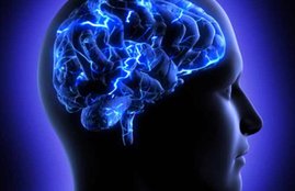 Brain Foods, Foods For Brains Health Mental Health, Brain Booster, Spinach, Broccollie, Walnuts, Memory Power, Memory Booster , How To Improve Memory Power, Health News In Hindi, Lifestyle News In Hindi, Jansatta