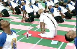 international yoga day 2016, international yoga day 2016 live, Narendra Modi Yoga, international yoga day 2016 chandigarh,