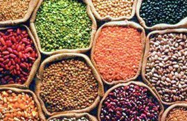 pulses prices, pulses news, Centre buy pulses, farmers pulses, pulses latest news