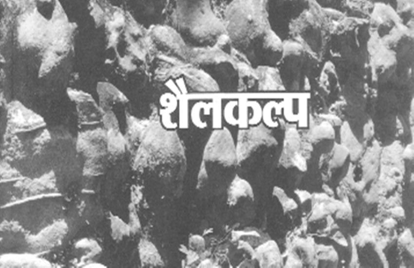 shaikalp, book launch, new hindi books book cover page