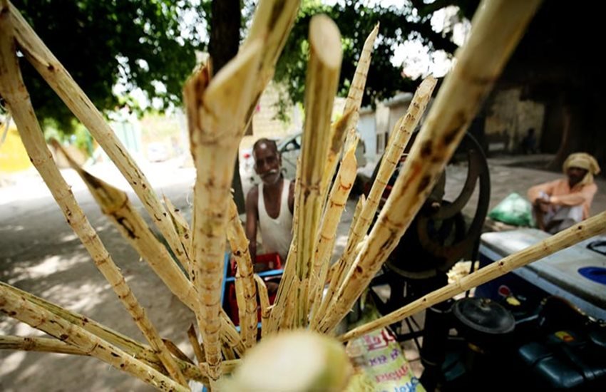 Kairana Exodus, Kandhla Exodus, Hindu Exodus, Sugarcane, Sugarcane farming, Sugarcane mills