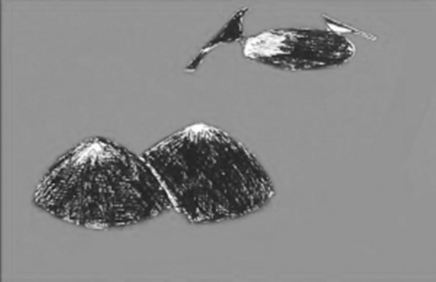duniya mere aage, column, umesh pratap singh