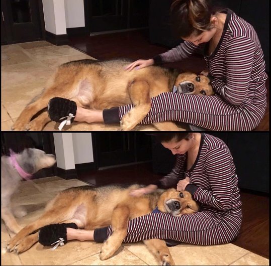 सनी और Lilu की तस्वीरें अकसर ही उनके इंस्टाग्राम अकाउंट पर दिख जाती हैं।