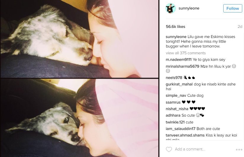 ये है सनी और Lilu की एस्किमो किस की तस्वीर, है ना क्यूट